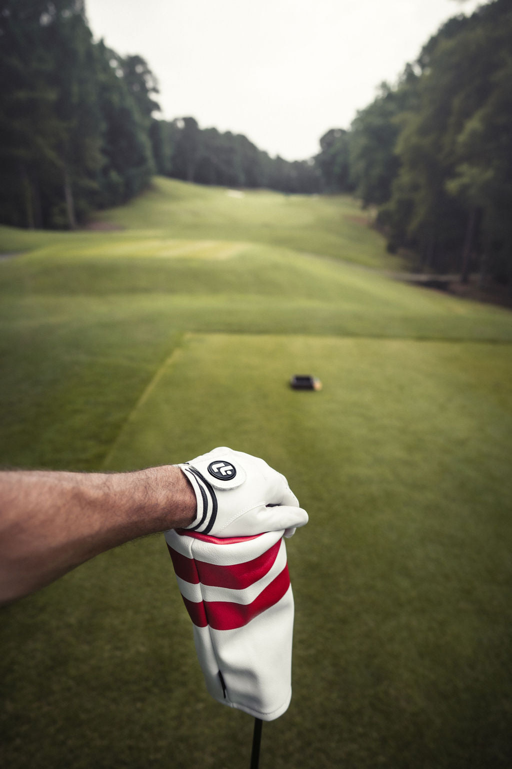 Louis Lloyd glove resting on a driver cover at the tee